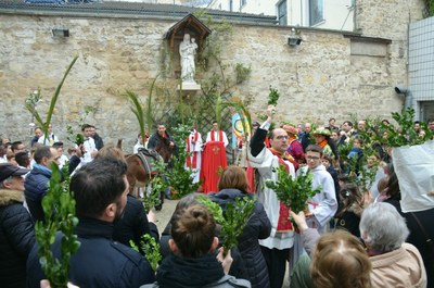 Célebrations des Rameaux 