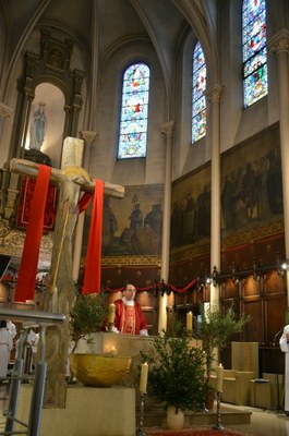 Célebrations des Rameaux 