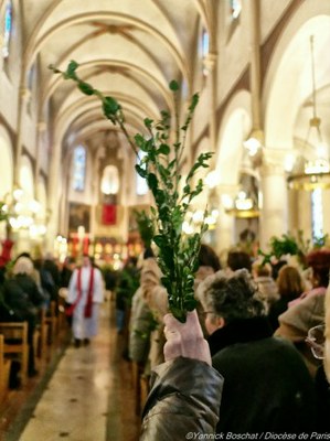 Célebrations des Rameaux 