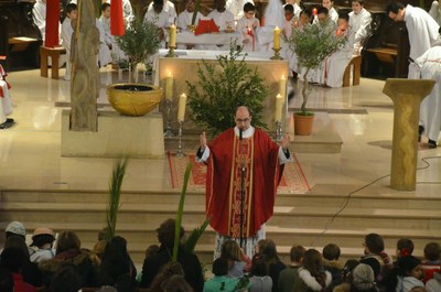 Célebrations des Rameaux 