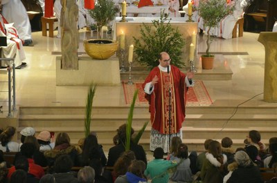 Célebrations des Rameaux 