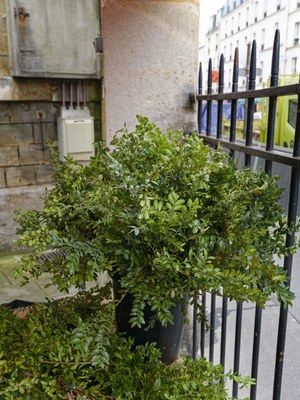  1346871 Yannick BOSCHAT