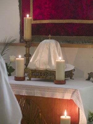  1370655 Yannick BOSCHAT