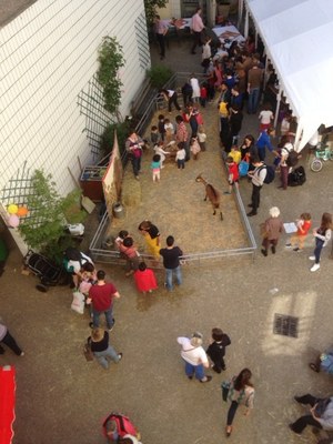 2ème jour des Journées d'amitié 2017