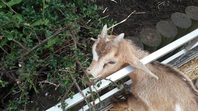 2ème jour des Journées d'amitié 2017