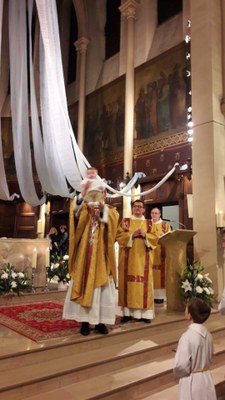 25660035 10156576620934057 7797240774331836788 n