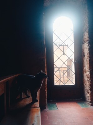 WhatsApp Image 2024 10 24 at 20.49.40 (5)