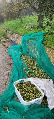 WhatsApp Image 2024 10 24 at 20.49.40 (6)