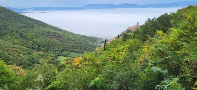 WhatsApp Image 2024 10 24 at 20.49.41