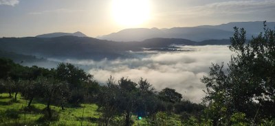 WhatsApp Image 2024 10 27 at 06.09.38 (4)