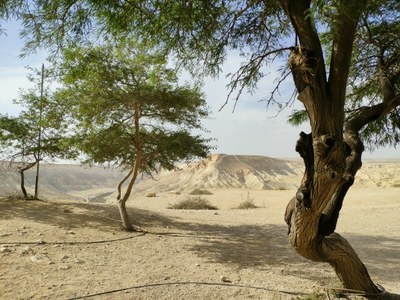 2018 10 25 David (12)