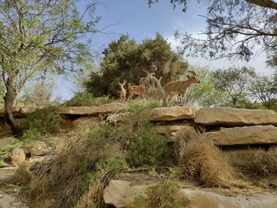 2018 10 25 David (14)