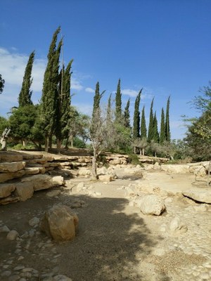 2018 10 25 David (15)