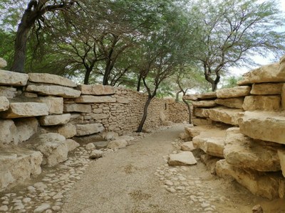 2018 10 25 David (18)