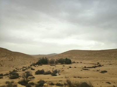 2018 10 25 David (2)