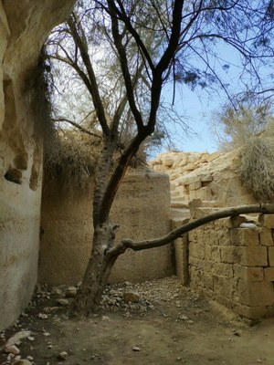 2018 10 25 David (5)