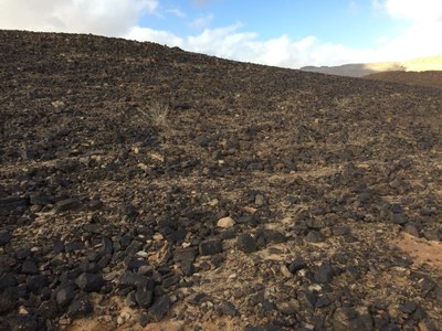 2018 10 26 1 Lucienne (05)