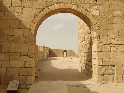 2018 10 26 David (03)