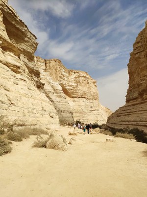 2018 10 26 David (06)