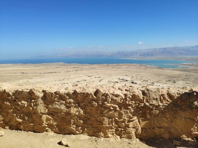 2018 10 27 David (09)