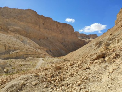 2018 10 27 David (14)