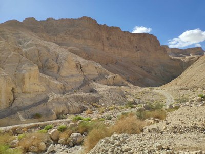 2018 10 27 David (15)