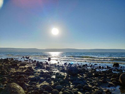 2018 10 28 David (03)