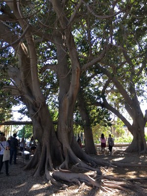 2018 10 28 Lucienne (41)