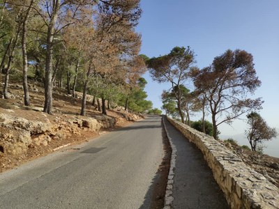 2018 10 29 David (17)