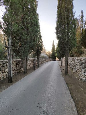 2018 10 29 David (30)