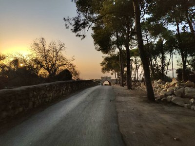 2018 10 29 David (31)