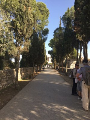 2018 10 29 Lucienne (63)