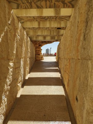 2018 10 31 David (05)