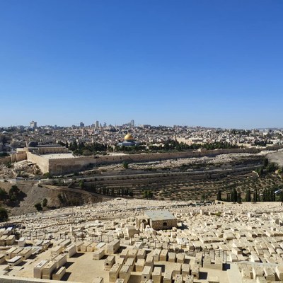 2018 10 31 David (11)