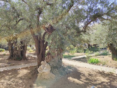 2018 10 31 David (17)