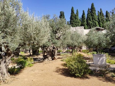 2018 10 31 David (18)