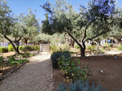 2018 10 31 David (19)