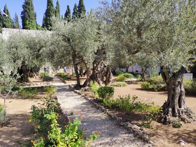 2018 10 31 David (20)