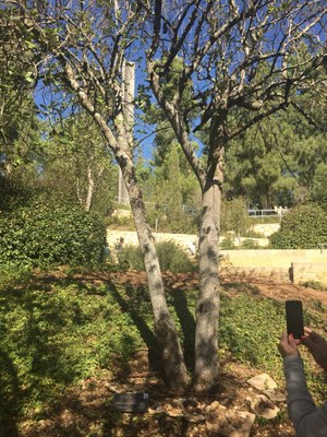 2018 10 31 Lucienne (13)