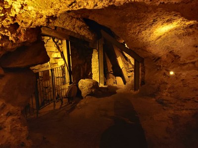 2018 11 01 David (03)