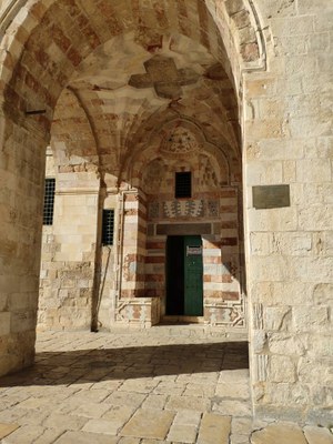 2018 11 01 David (07)