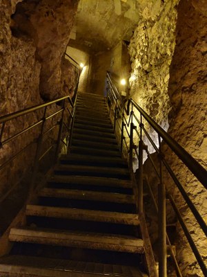 2018 11 01 David (08)