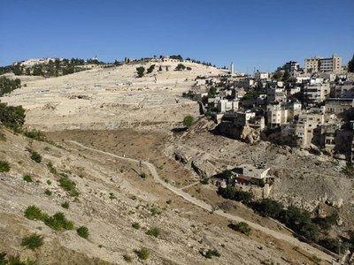 2018 11 01 David (11)