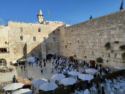 2018 11 01 David (17)