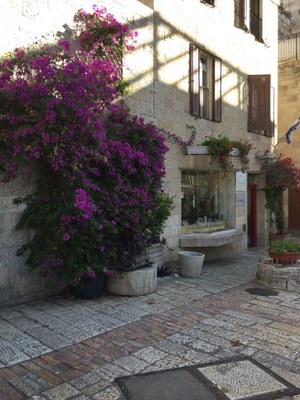 2018 11 01 Lucienne (014)