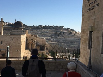 2018 11 01 Lucienne (020)