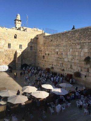 2018 11 01 Lucienne (023)