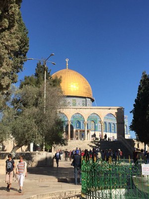 2018 11 01 Lucienne (031)