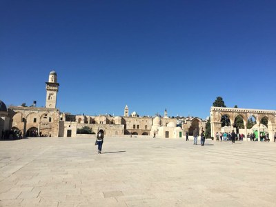 2018 11 01 Lucienne (034)