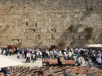 2018 11 01 Lucienne (050)